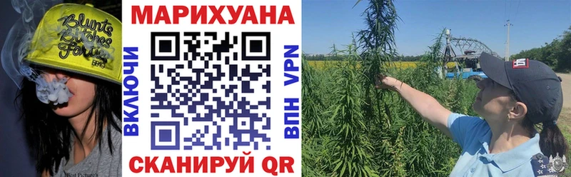  COCAIN Нарьян-Мар