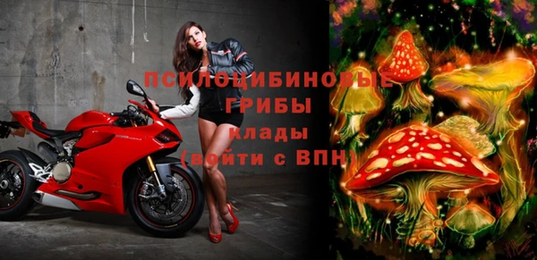 спиды Алексин