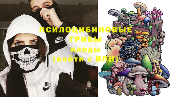 спиды Алексин