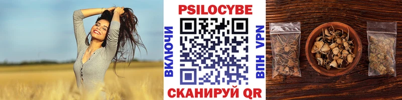 закладки  Нарьян-Мар  Галлюциногенные грибы ЛСД 