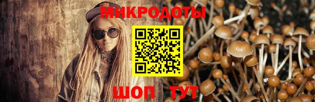 Псилоцибиновые грибы мицелий  Вход с VPN  Нарьян-Мар 